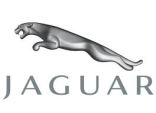 Jaguar pour homme