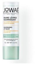 Baume Lèvres Nourrissant 4 gr