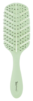 Brosse squelette biofriendly biodégradable