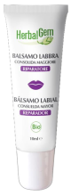 Baume à lèvres Consoude Major Bio 10 ml