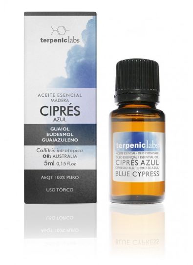 Cipres bleus 5 ml